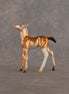Piebald Fawn OOAK Chip Foal by Alex Fortman EQ26