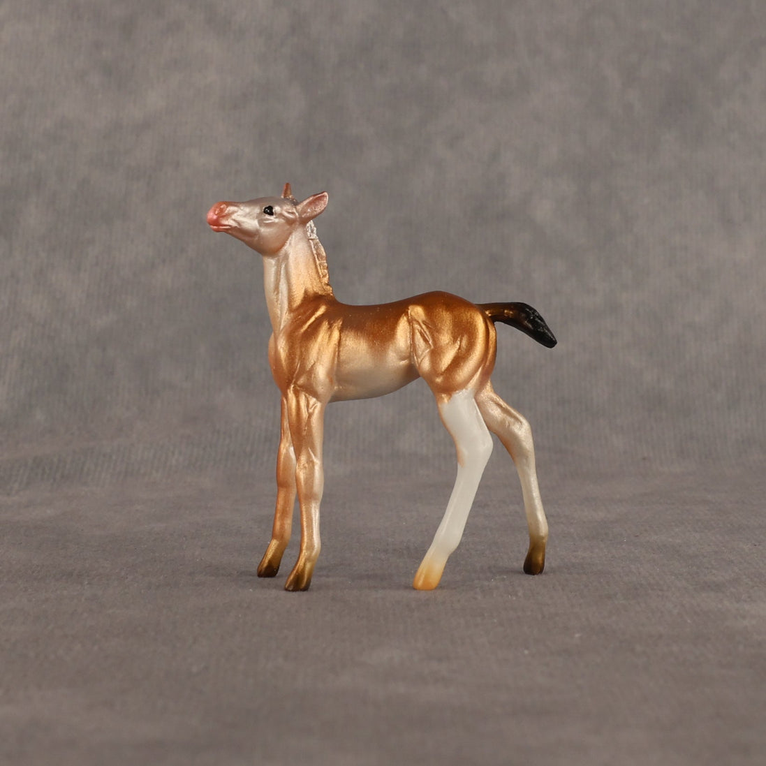 Piebald Fawn OOAK Chip Foal by Alex Fortman EQ26