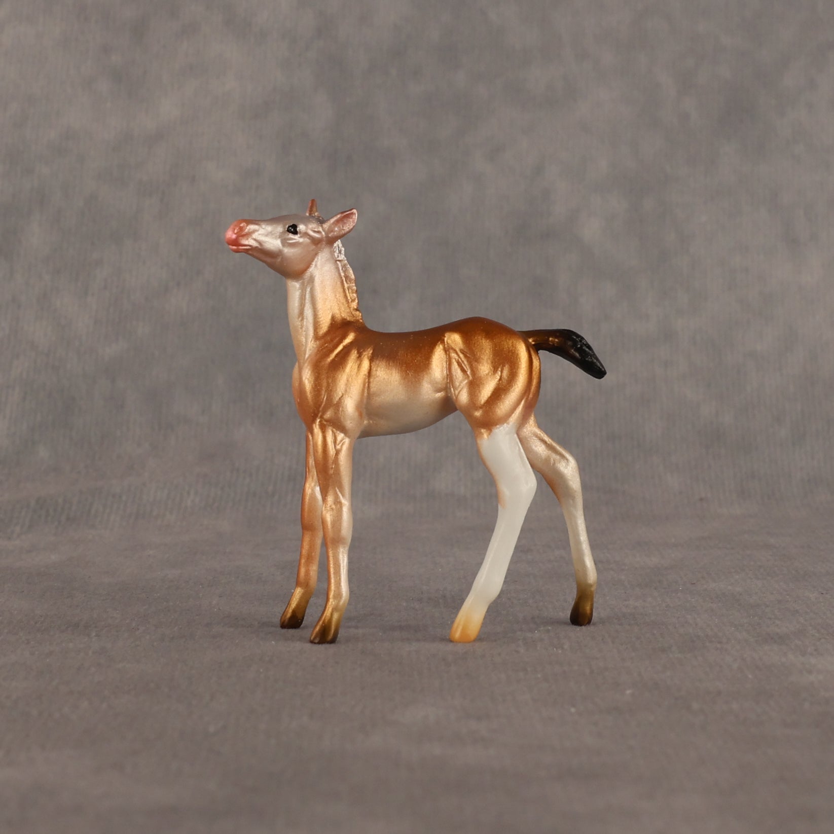 Piebald Fawn OOAK Chip Foal by Alex Fortman EQ26