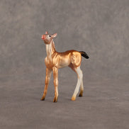 Piebald Fawn OOAK Chip Foal by Alex Fortman EQ26
