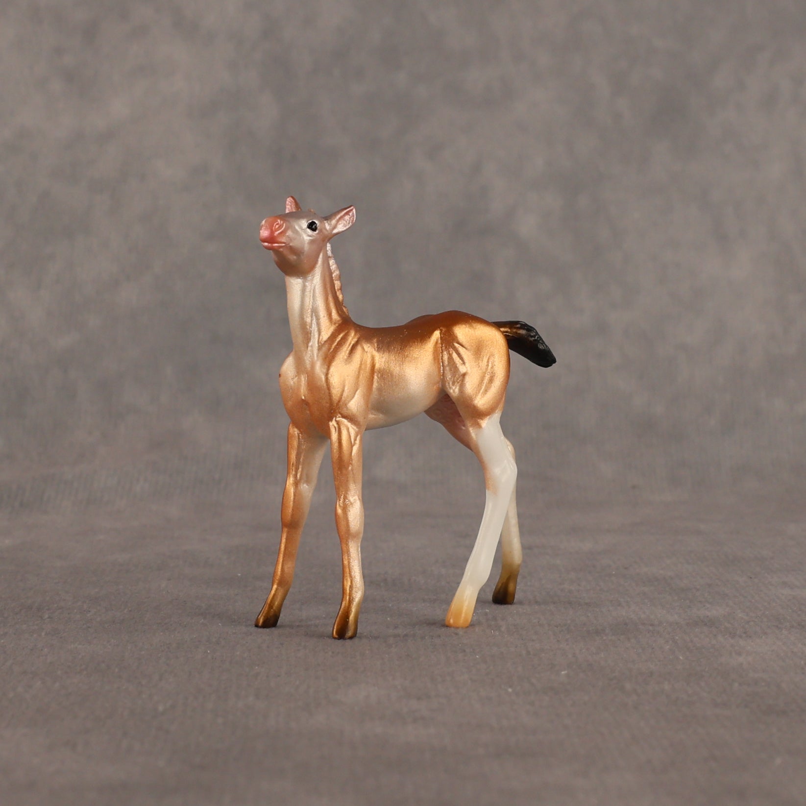 Piebald Fawn OOAK Chip Foal by Alex Fortman EQ26