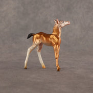 Piebald Fawn OOAK Chip Foal by Alex Fortman EQ26