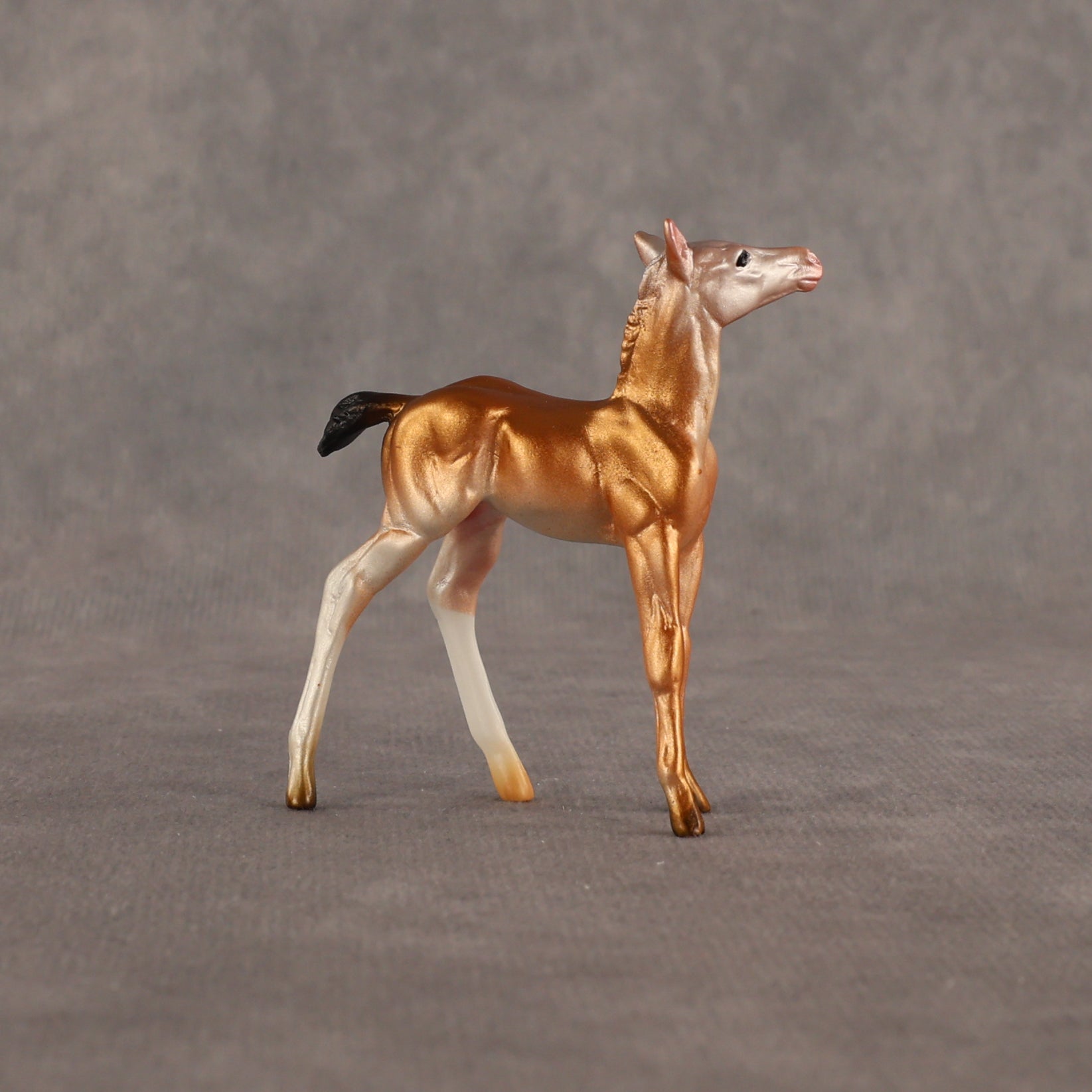 Piebald Fawn OOAK Chip Foal by Alex Fortman EQ26