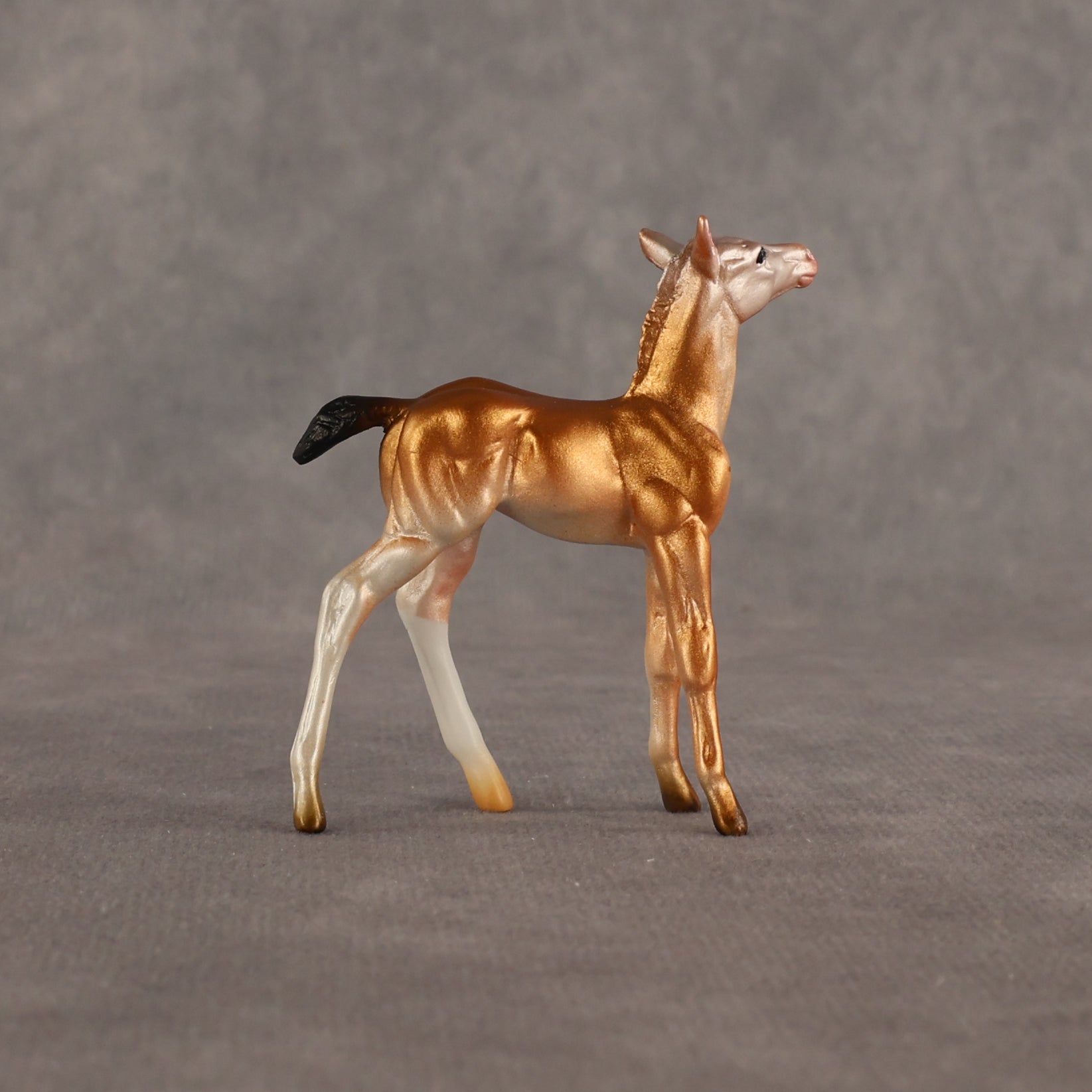 Piebald Fawn OOAK Chip Foal by Alex Fortman EQ26
