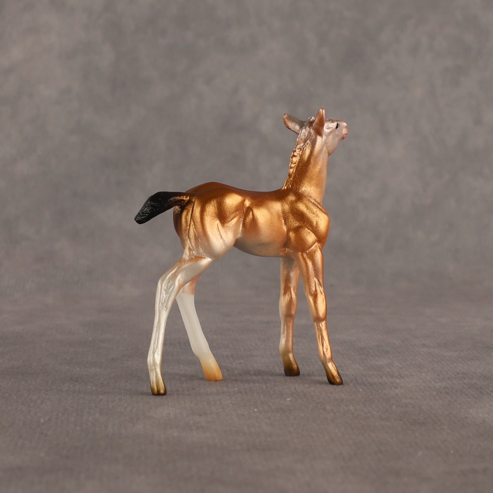 Piebald Fawn OOAK Chip Foal by Alex Fortman EQ26