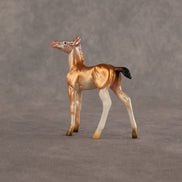 Piebald Fawn OOAK Chip Foal by Alex Fortman EQ26
