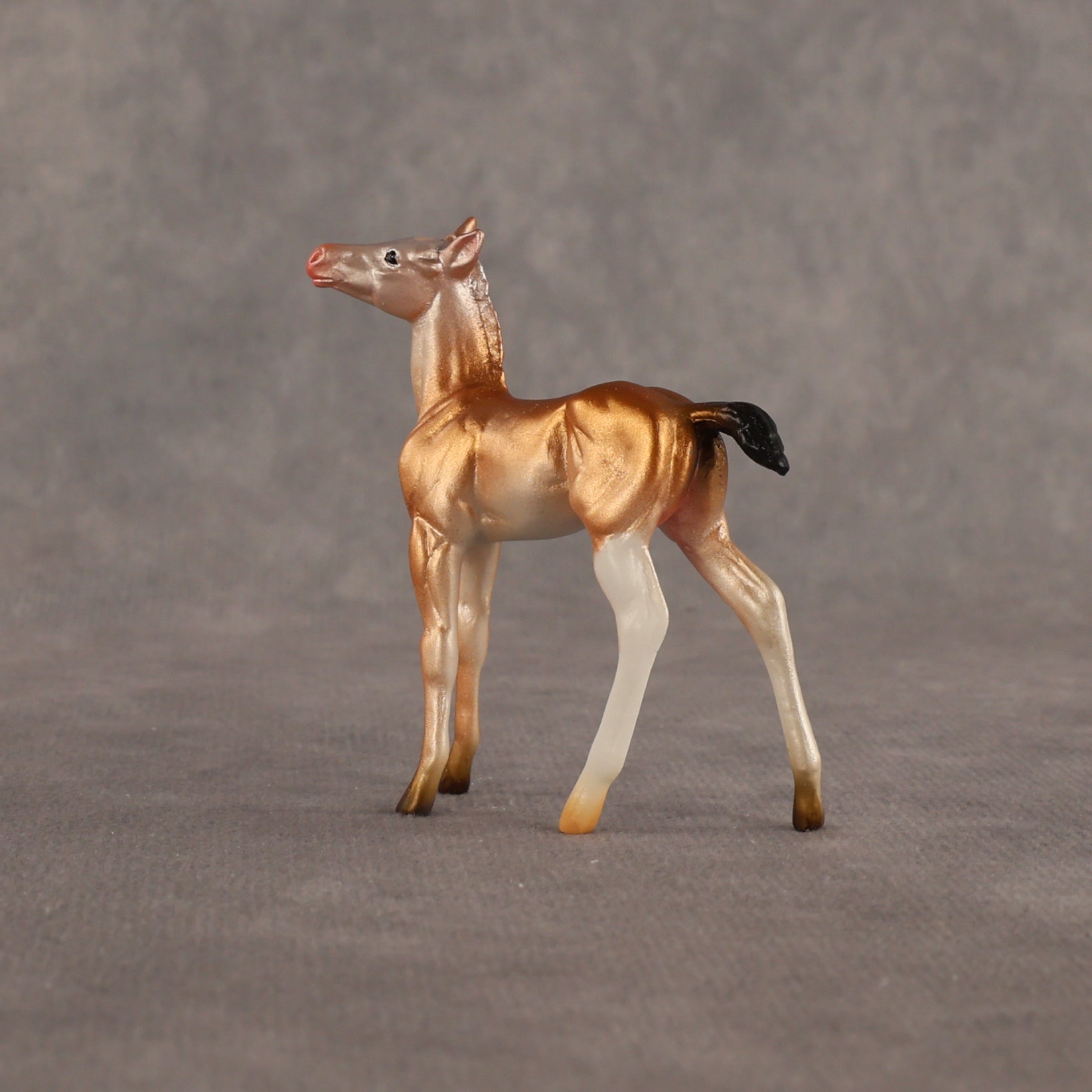 Piebald Fawn OOAK Chip Foal by Alex Fortman EQ26
