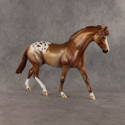 Oklahoma OOAK FCM Pony by Dawn Quick SHCF26
