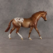 Oklahoma OOAK FCM Pony by Dawn Quick SHCF26