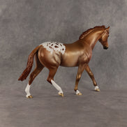 Oklahoma OOAK FCM Pony by Dawn Quick SHCF26