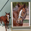 Olive OOAK Chestnut Remington Portrait Model By Jess Hamill Benefit Auction 6/11/24