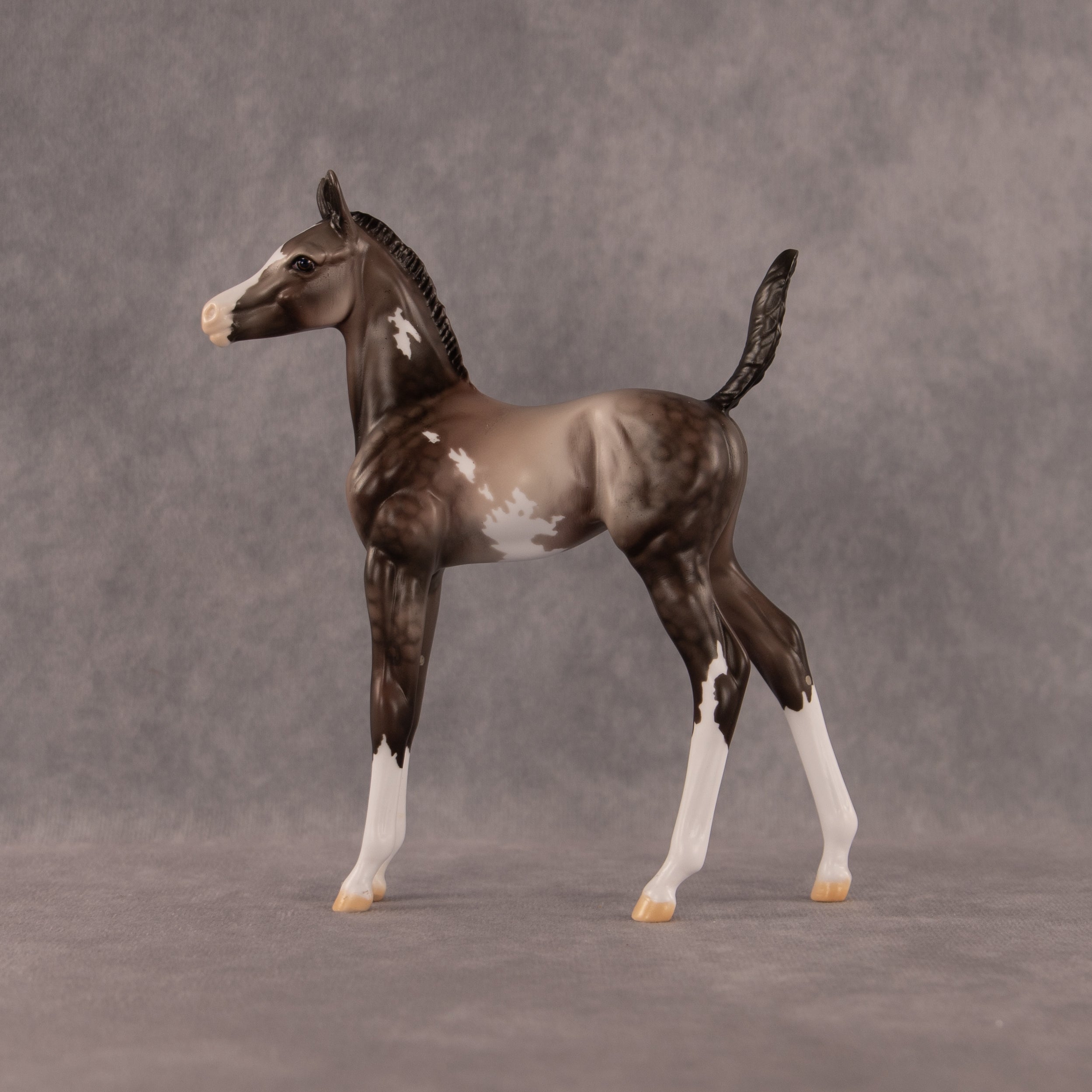 One Hundred Years of Flockitude OOAK Arabian Foal by Dawn Quick EQ26