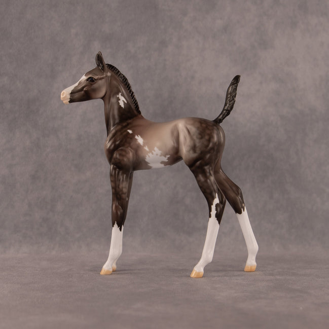 One Hundred Years of Flockitude OOAK Arabian Foal by Dawn Quick EQ26