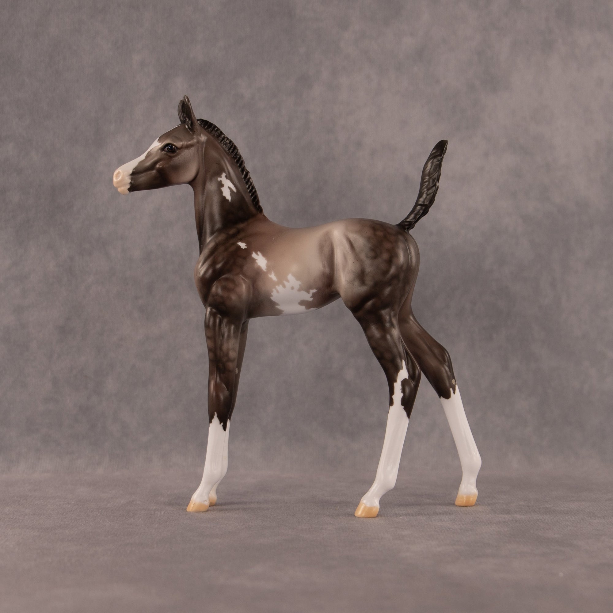 One Hundred Years of Flockitude OOAK Arabian Foal by Dawn Quick EQ26