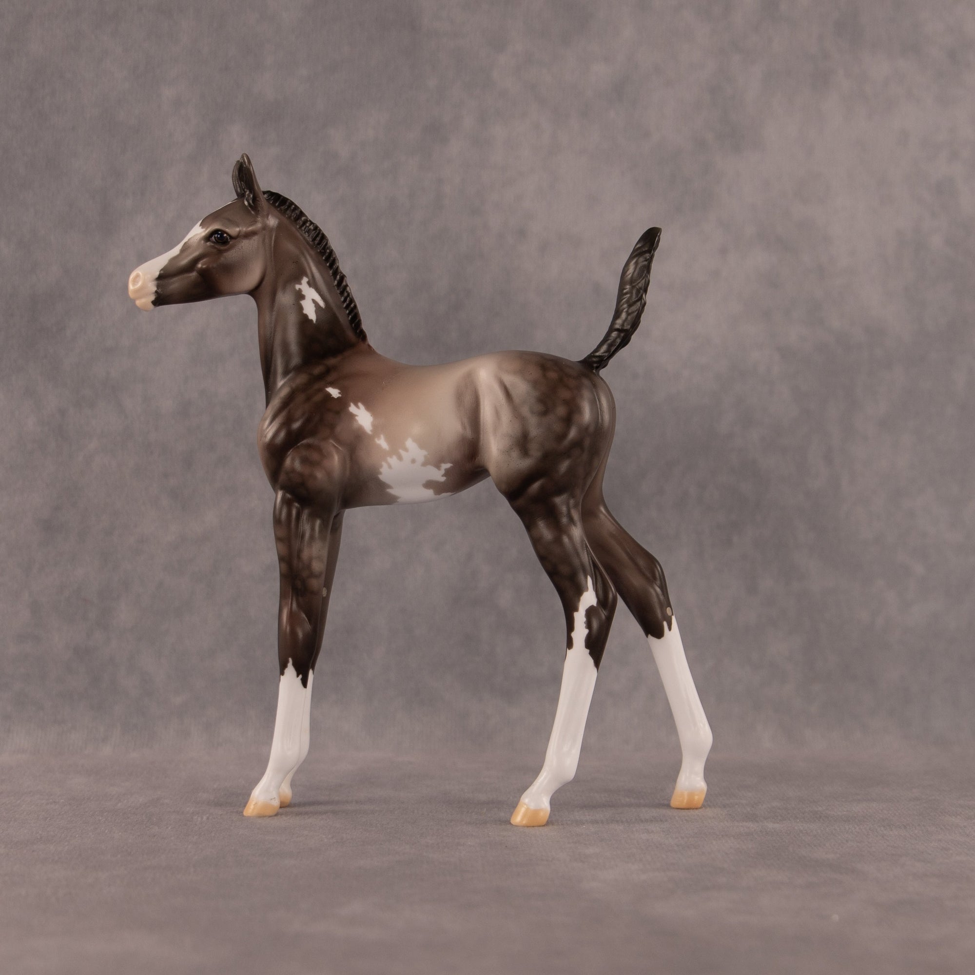 One Hundred Years of Flockitude OOAK Arabian Foal by Dawn Quick EQ26