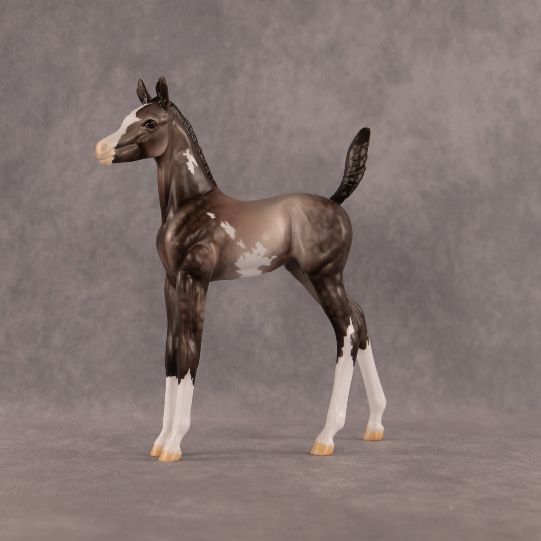 One Hundred Years of Flockitude OOAK Arabian Foal by Dawn Quick EQ26