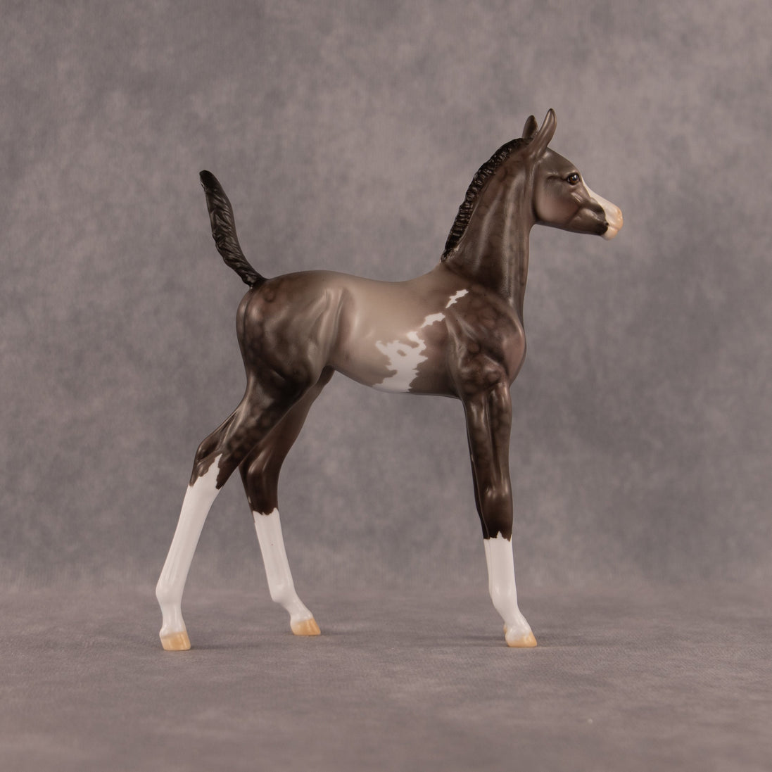 One Hundred Years of Flockitude OOAK Arabian Foal by Dawn Quick EQ26