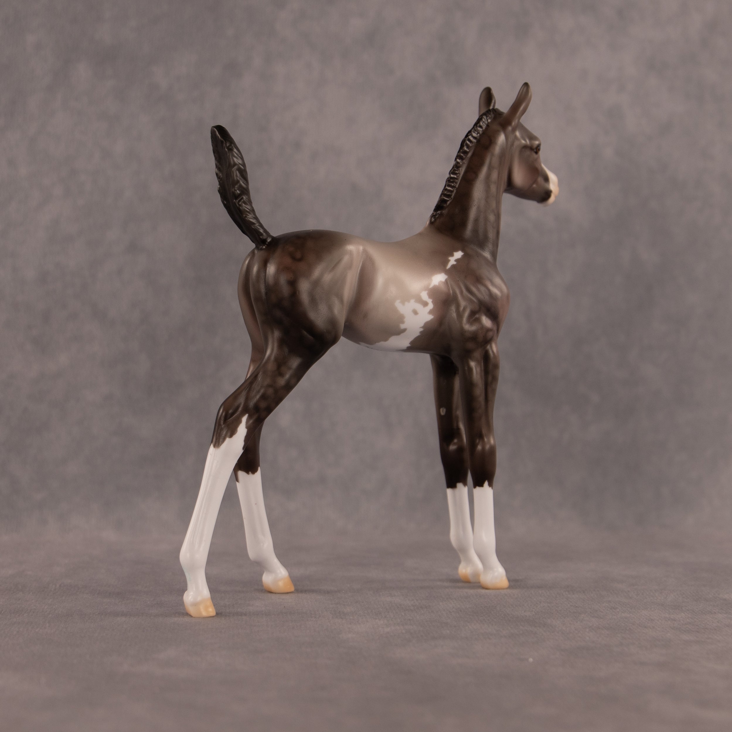 One Hundred Years of Flockitude OOAK Arabian Foal by Dawn Quick EQ26