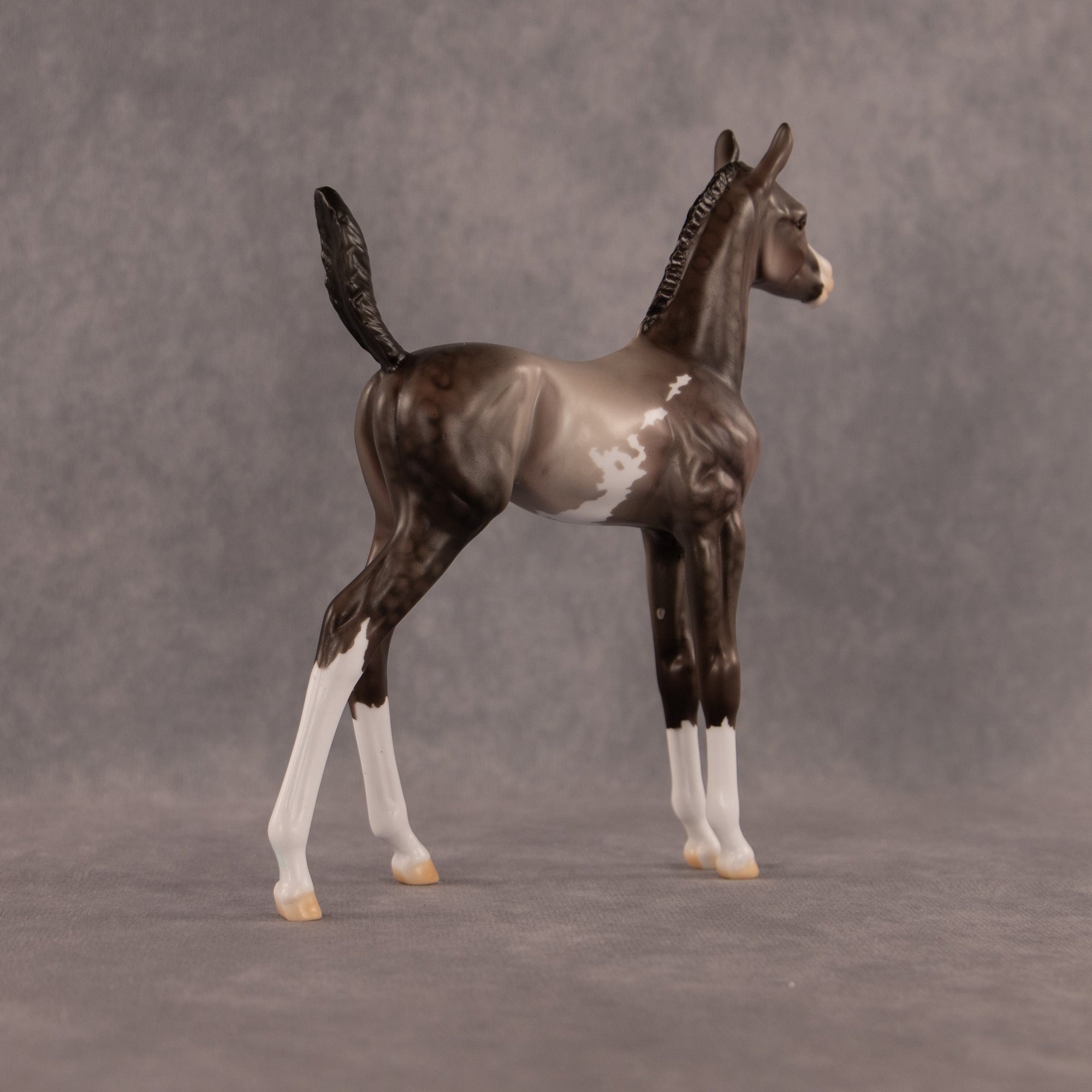 One Hundred Years of Flockitude OOAK Arabian Foal by Dawn Quick EQ26
