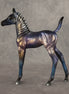 Oozing Stardust OOAK Arabian Foal by Alex Fortman EQ26