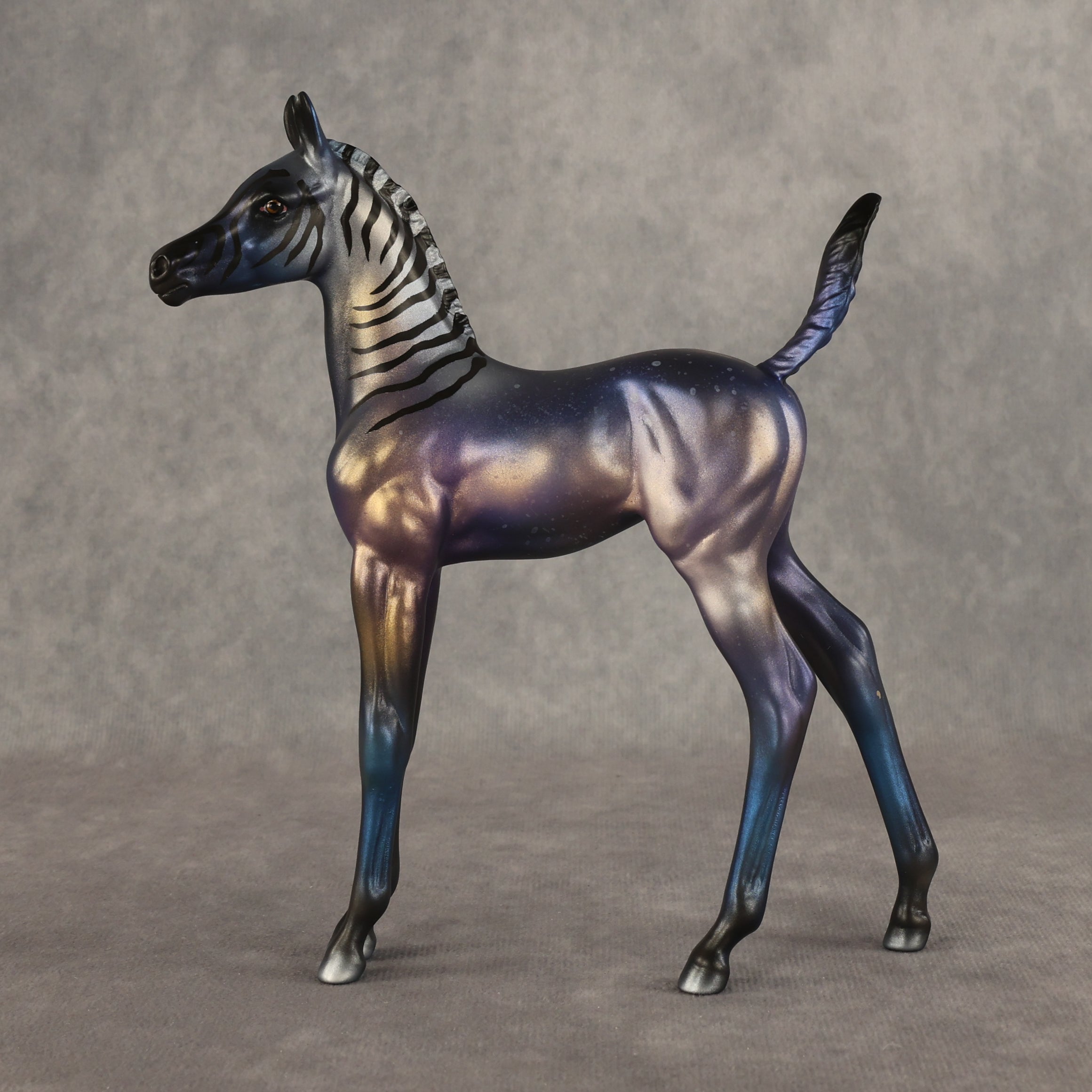 Oozing Stardust OOAK Arabian Foal by Alex Fortman EQ26