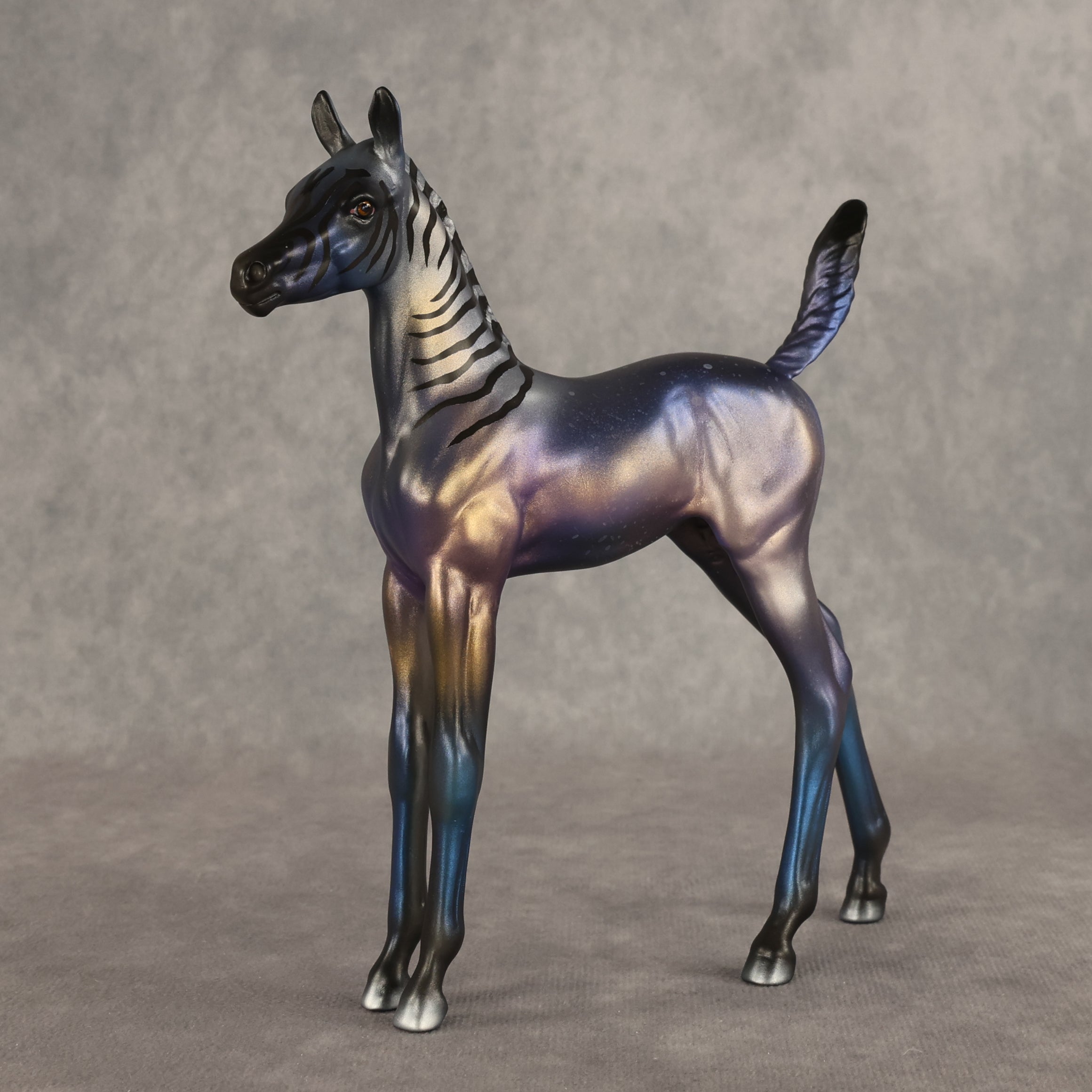 Oozing Stardust OOAK Arabian Foal by Alex Fortman EQ26