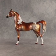 Orb Wins It All OOAK Arabian Stallion by Dawn Quick SHCF26