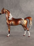 Orb Wins It All OOAK Arabian Stallion by Dawn Quick SHCF26
