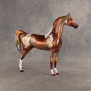 Orb Wins It All OOAK Arabian Stallion by Dawn Quick SHCF26