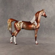 Orb Wins It All OOAK Arabian Stallion by Dawn Quick SHCF26