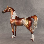 Orb Wins It All OOAK Arabian Stallion by Dawn Quick SHCF26