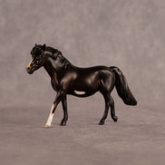 Orda OOAK Chip Pony by Anna Rieck EQ26