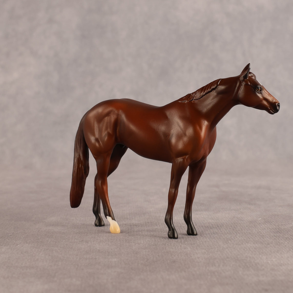 Orwell's OOAK Chip Stock Horse by Alex Fortman LHS26