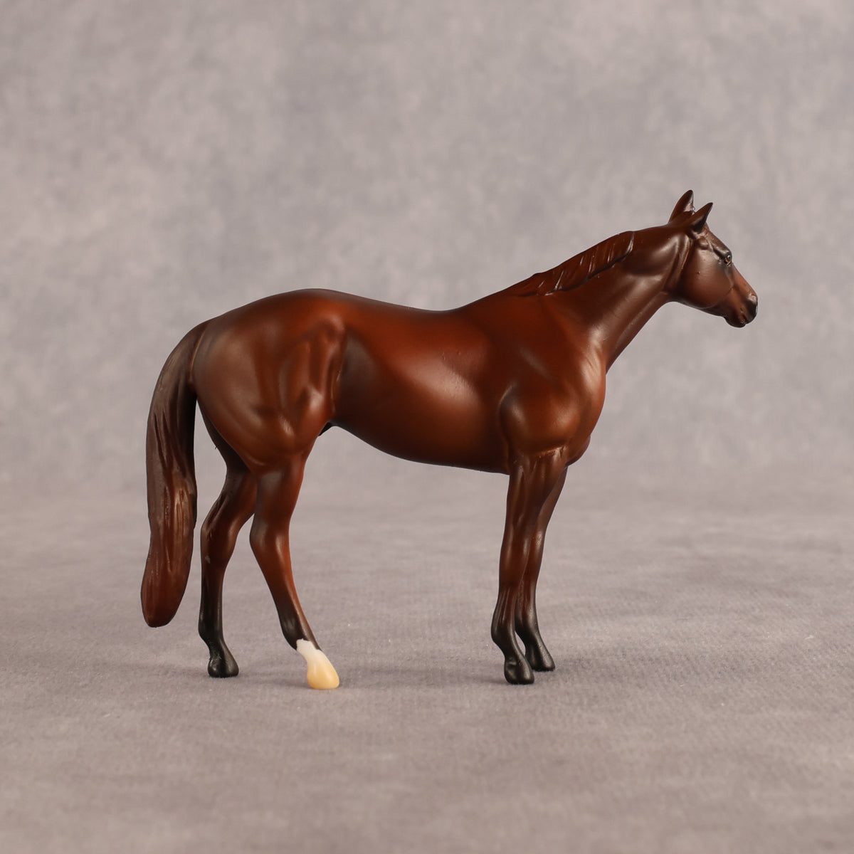 Orwell's OOAK Chip Stock Horse by Alex Fortman LHS26