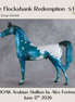 The Flockshank Redemption OOAK Arabian Stallion by Alex Fortman DDOOAKs26