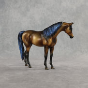 Taj LE-5 Pebble Arabian Mare by Enrique Duarte WC26