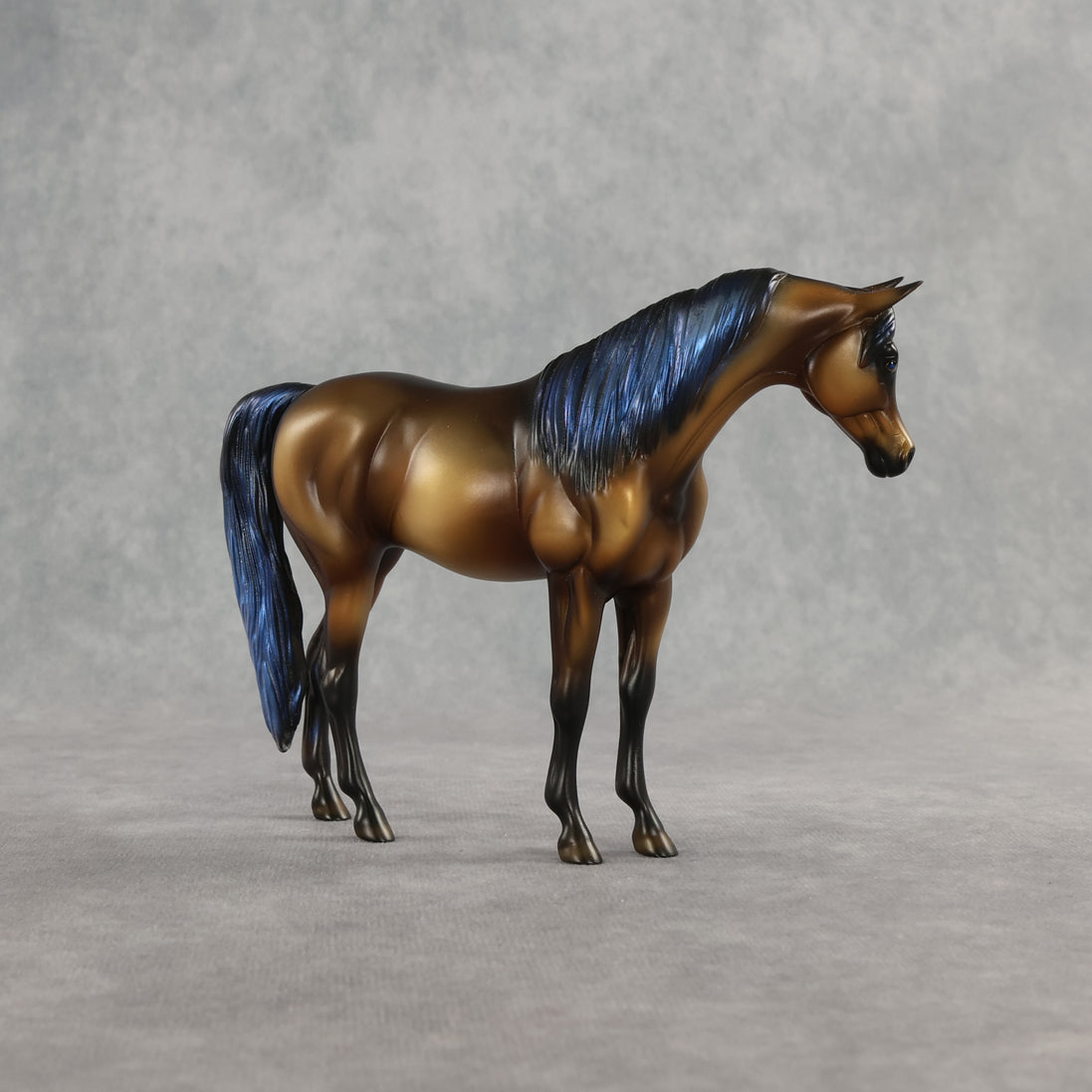 Taj LE-5 Pebble Arabian Mare by Enrique Duarte WC26