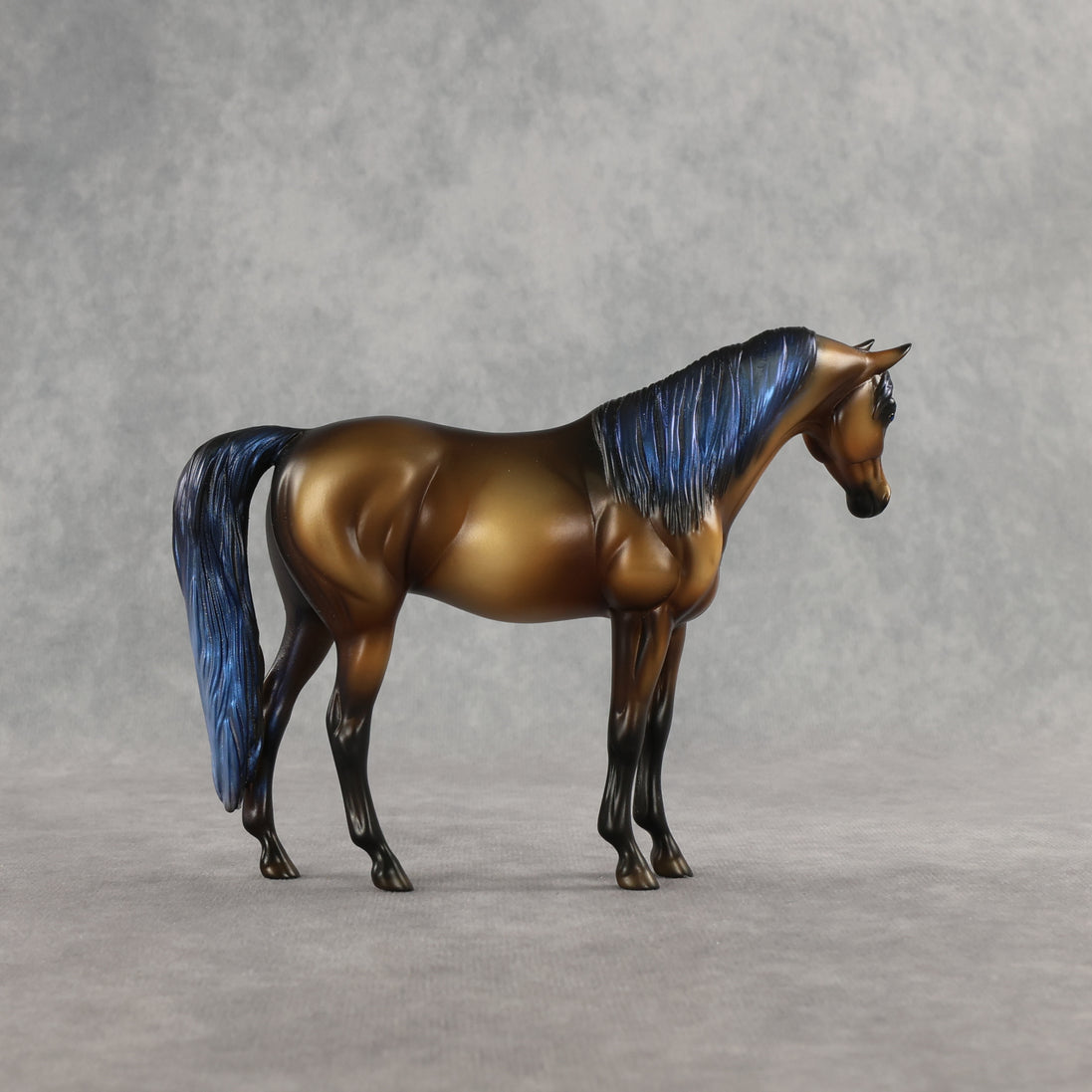 Taj LE-5 Pebble Arabian Mare by Enrique Duarte WC26