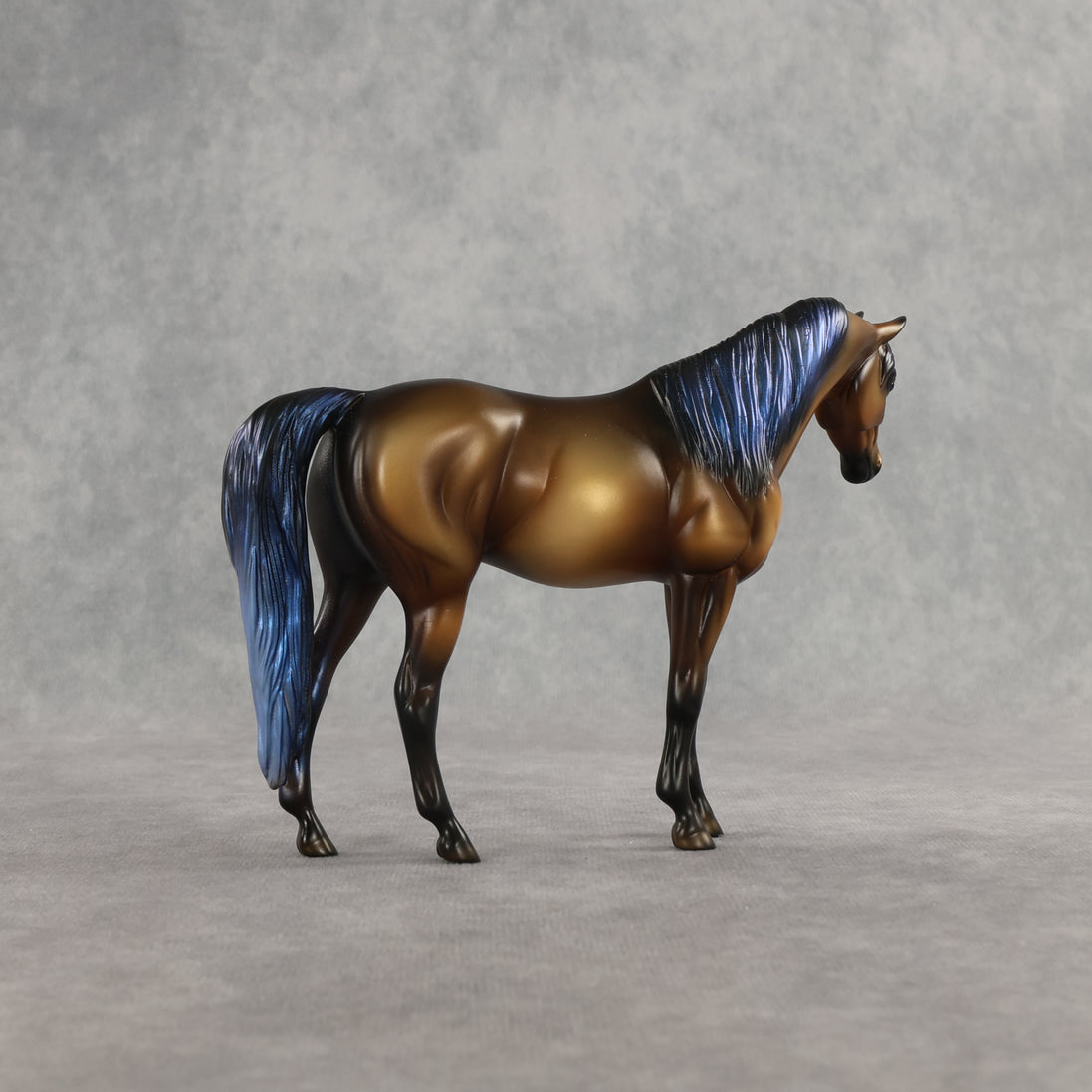 Taj LE-5 Pebble Arabian Mare by Enrique Duarte WC26