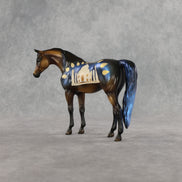 Taj LE-5 Pebble Arabian Mare by Enrique Duarte WC26