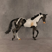 Pacifica OOAK Thoroughbred by Anna Rieck SHCF26