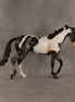 Pacifica OOAK Thoroughbred by Anna Rieck SHCF26