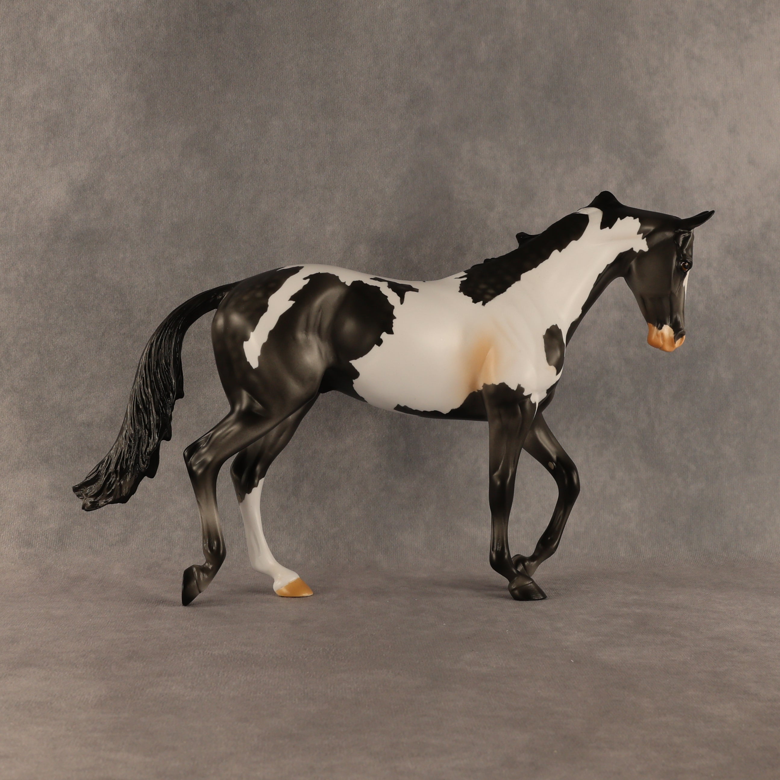 Pacifica OOAK Thoroughbred by Anna Rieck SHCF26