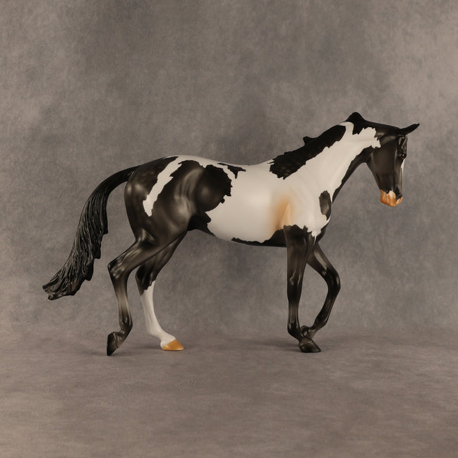 Pacifica OOAK Thoroughbred by Anna Rieck SHCF26