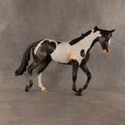 Pacifica OOAK Thoroughbred by Anna Rieck SHCF26