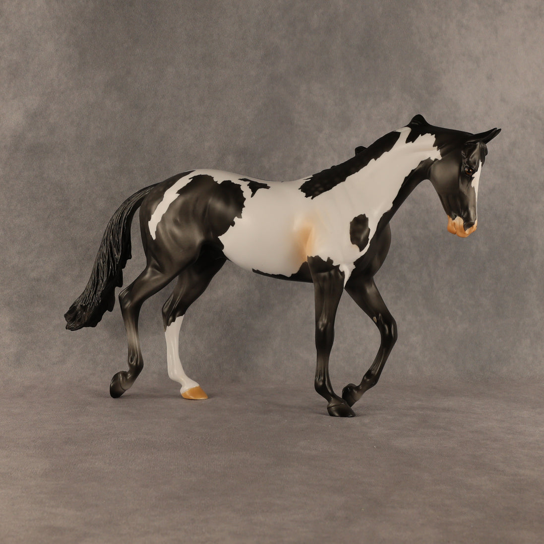 Pacifica OOAK Thoroughbred by Anna Rieck SHCF26