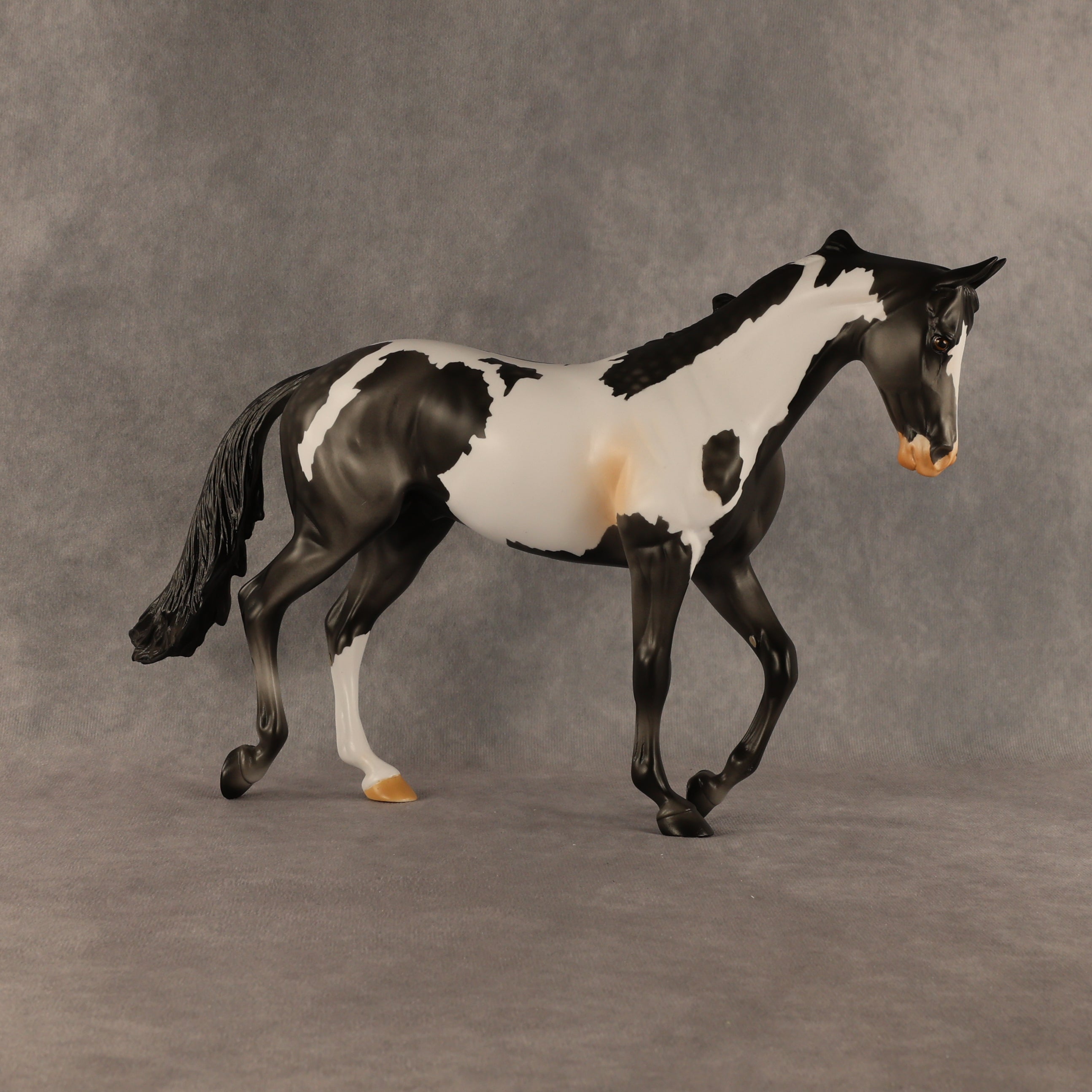 Pacifica OOAK Thoroughbred by Anna Rieck SHCF26