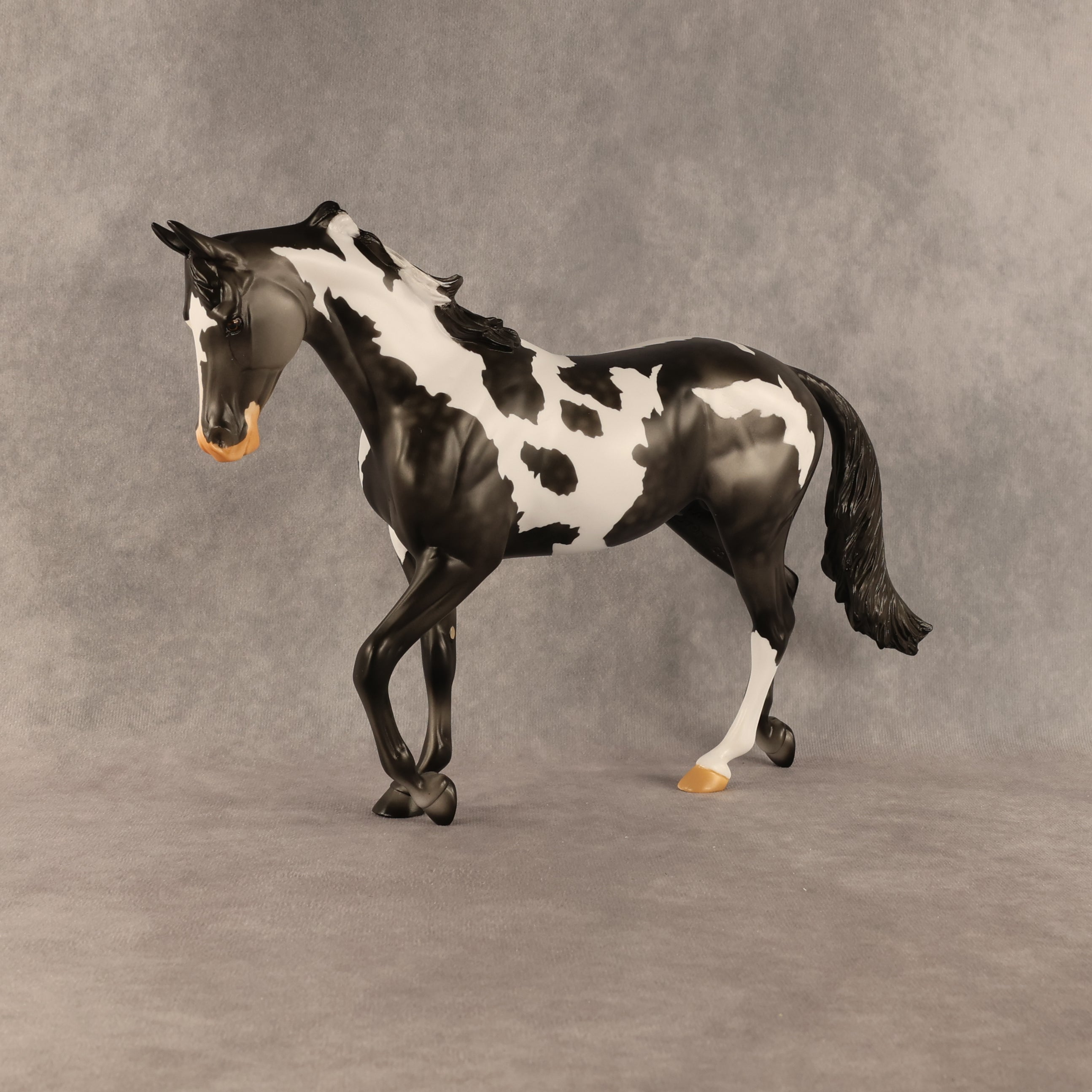 Pacifica OOAK Thoroughbred by Anna Rieck SHCF26