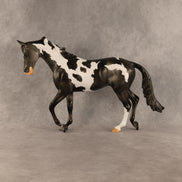 Pacifica OOAK Thoroughbred by Anna Rieck SHCF26