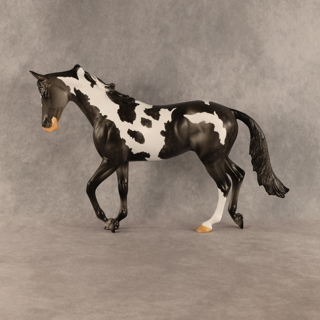 Pacifica OOAK Thoroughbred by Anna Rieck SHCF26